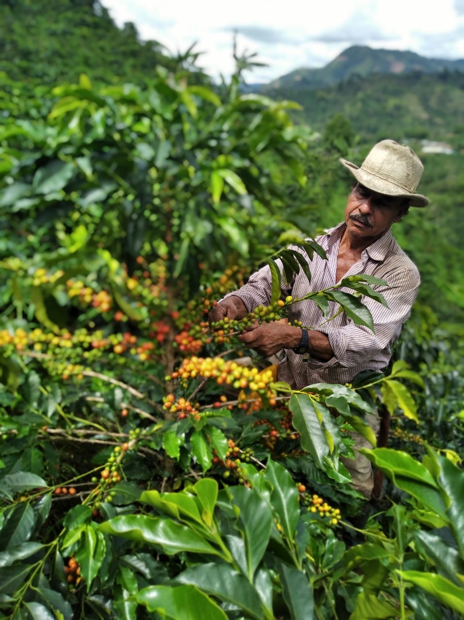 armando duran la granja 3