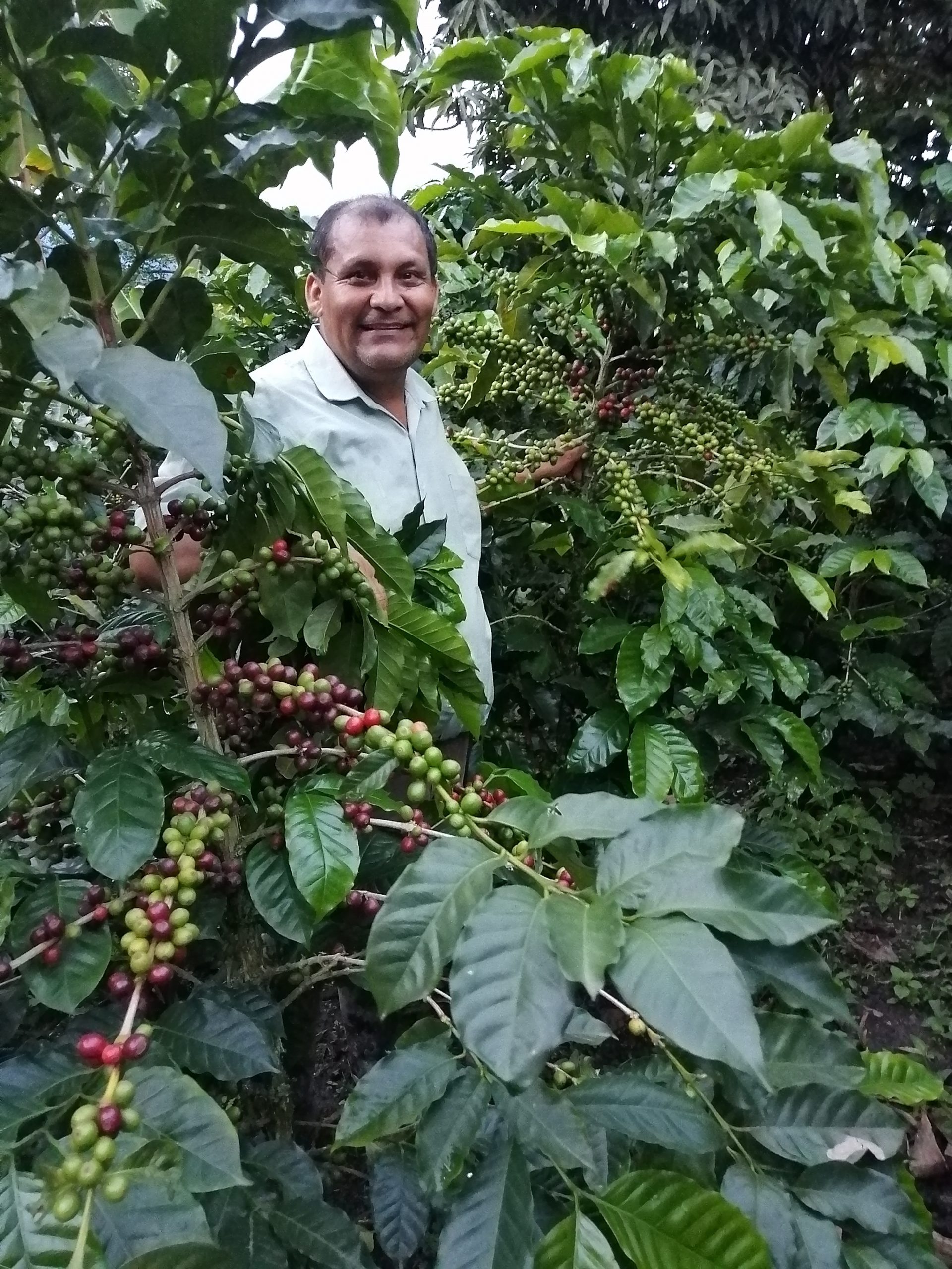 bella vista jose lizardo olaya 1