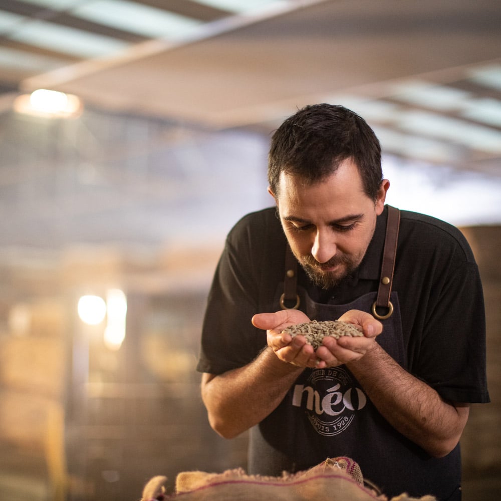 cafe vert et torréfacteur