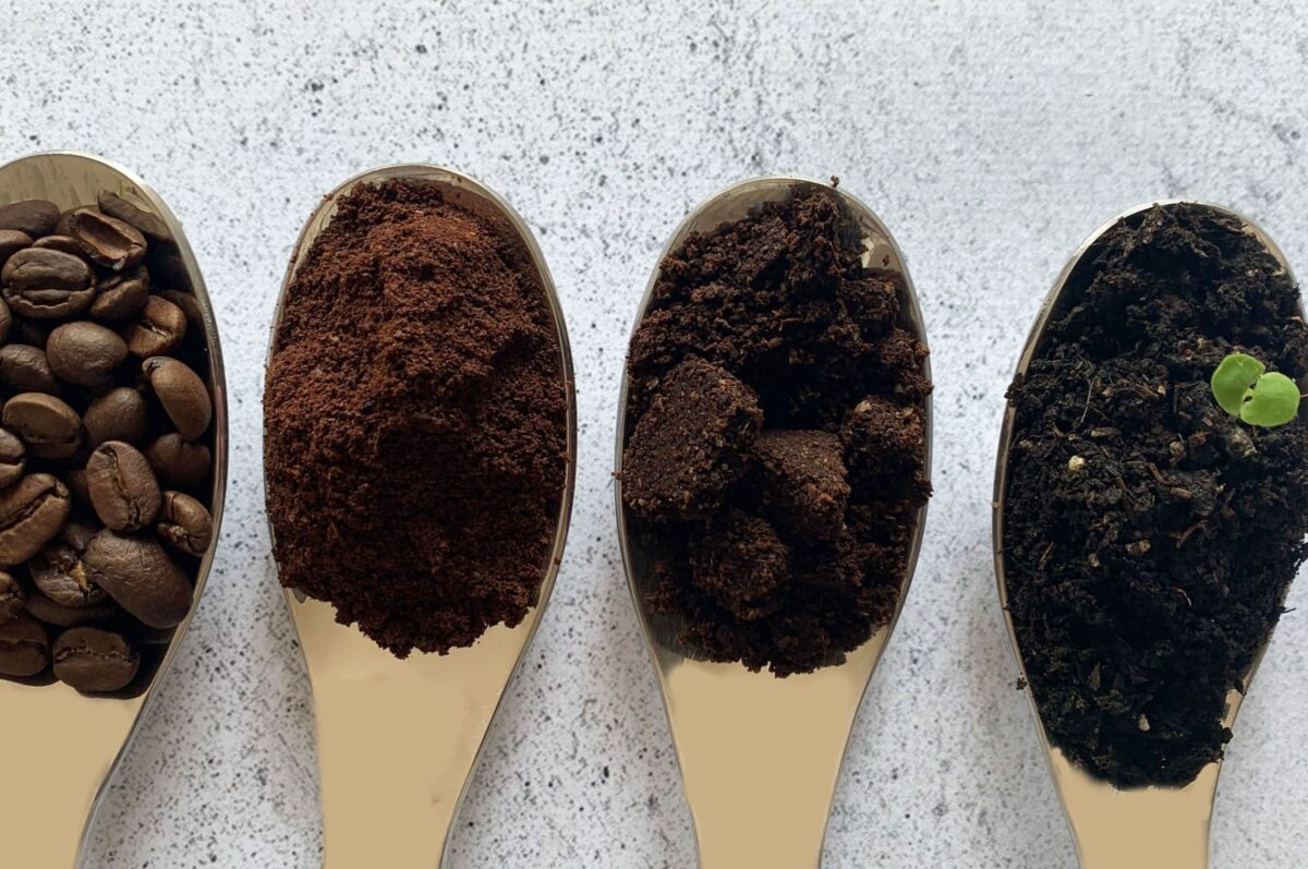 sans titre 1 1 1200x797